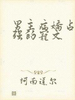 男主病娇占有欲强的宠文