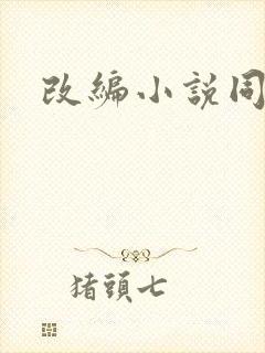 改编小说同人版