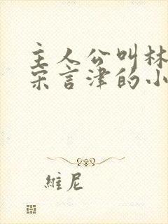 主人公叫林清妍宋言津的小说