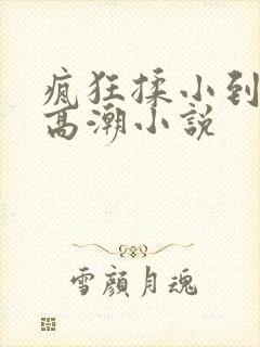 疯狂揉小到失禁高潮小说