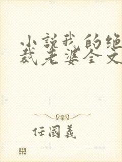 小说我的绝美总裁老婆全文阅读