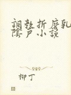 调教折磨乳头和阴户小说