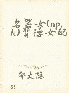 名器女(np,h)背德女配h