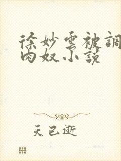 徐妙云被调教成肉奴小说封面