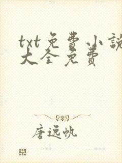 txt免费小说大全免费