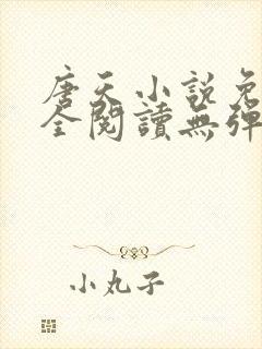 唐天小说免费大全阅读无弹窗