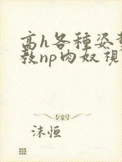 高h各种姿势调教np肉奴视频