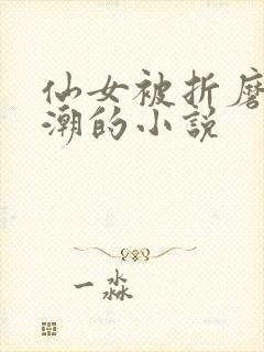仙女被折磨到高潮的小说