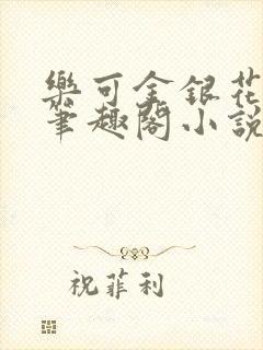 乐可金银花免费笔趣阁小说