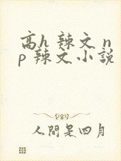 高h 辣文 np 辣文小说