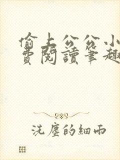 偷上公公小说免费阅读笔趣阁下载