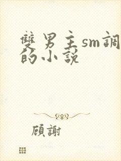 双男主sm调教的小说