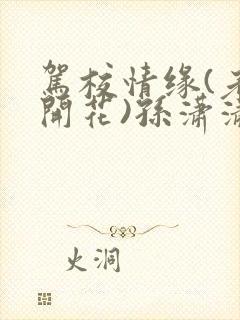 驾校情缘(老树开花)孙潇潇笔趣阁