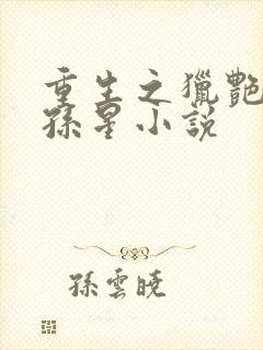 重生之猎艳后宫孙星小说