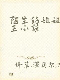陌生的姐姐双女主小说