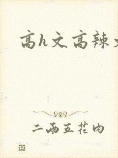 高h文高辣文