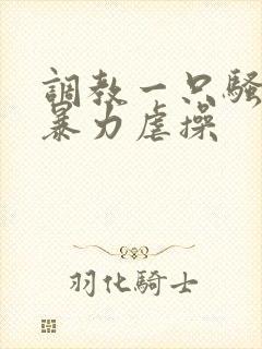 调教一只骚母狗暴力虐操