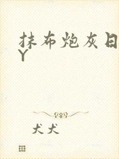 抹布炮灰日记BY封面