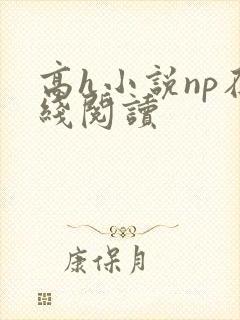 高h小说np在线阅读封面