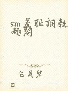 sm羞耻调教笔趣阁封面