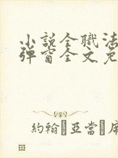 小说全职法师无弹窗全文免费阅读