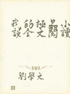 我的极品小姨小说全文阅读免费