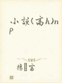 小说(高h)np