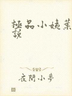 极品小姨叶凡小说