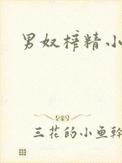 男奴榨精小说封面