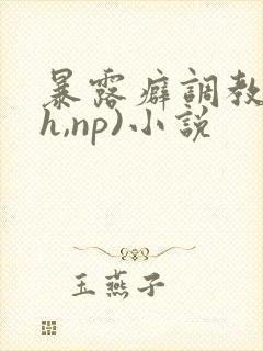 暴露癖调教(高h,np)小说