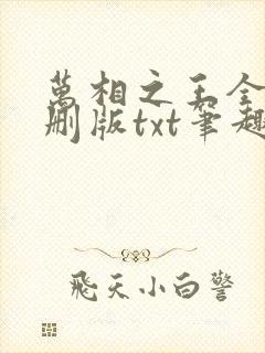 万相之王全本无删版txt笔趣阁