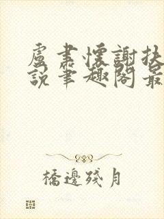 卢聿怀谢扶盈小说笔趣阁最新章节