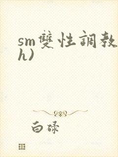 sm双性调教(h)封面