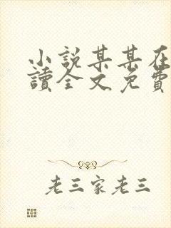 小说某某在线阅读全文免费