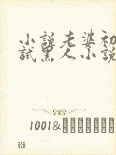 小说老婆初次尝试黑人小说