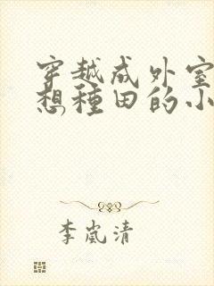 穿越成外室我只想种田的小说