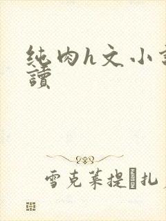 纯肉h文小说阅读