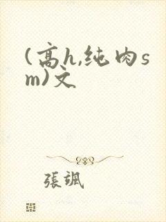 (高h,纯肉sm)文