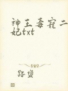 神王毒宠二嫁王妃txt