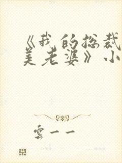 《我的总裁白富美老婆》小说