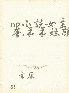 np小说女主姓唐,弟弟姓顾