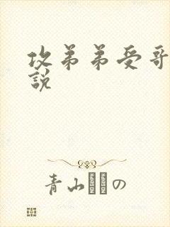 攻弟弟受哥哥小说