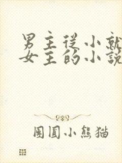 男主从小就喜欢女主的小说封面