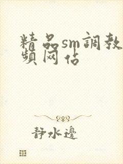 精品sm调教视频网站