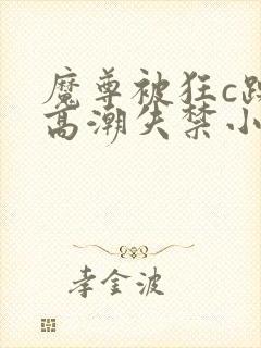 魔尊被狂c躁到高潮失禁小说