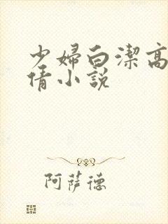 少妇白洁高义孙倩小说