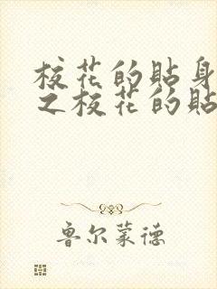 校花的贴身高手之校花的贴身高手封面