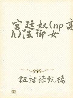 宫廷奴(np高h)伍御女