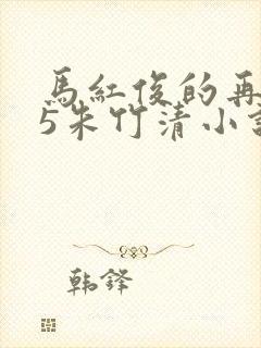 马红俊的再出击5朱竹清小说