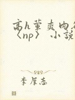 高h荤爽肉欲文〈np〉 小说